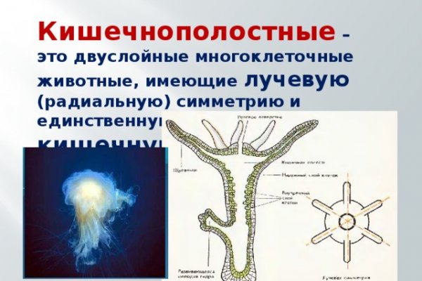 Кракен даркнет ссылка на сайт