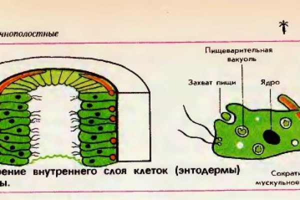 Омг ссылка хыдра клуб онион ком