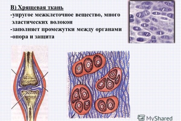 Ссылка на кракен реальная